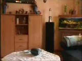 JZD Dlouhá rozkoš – Družba (8.díl)