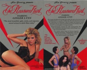Pleasure Hunt – americký porno film